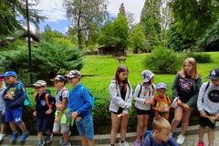 IMG20220811120631