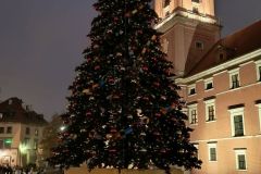 IMG_20241130_161729542